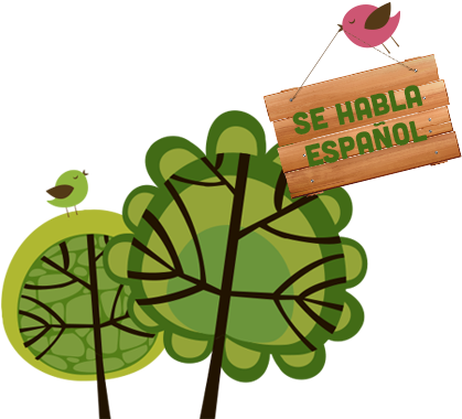 The Woodlands Pediatric Dentist Se Habla Espanol - The Woodlands (510x390), Png Download