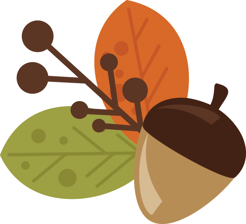 Clip Art Library Acorn And Leaves Free Svg Files For - Woodland Theme Clip Art (800x730), Png Download