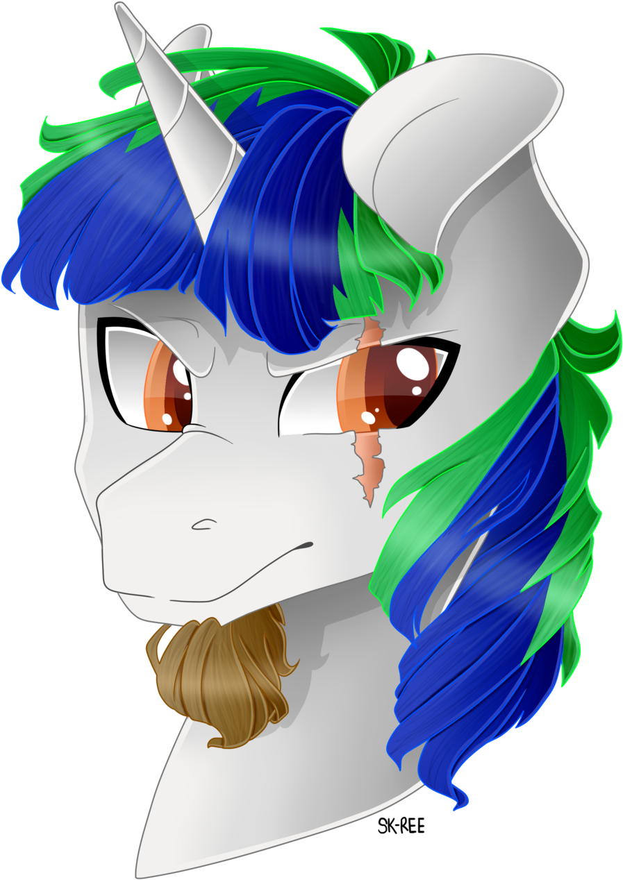 Sk-ree, Bust, Eye Scar, Facial Hair, Goatee, Male, - Cartoon (1024x1356), Png Download