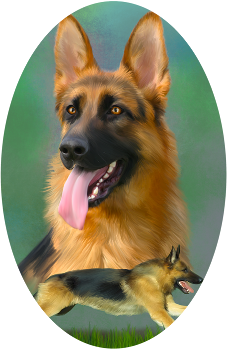 Click And Drag To Re-position The Image, If Desired - German Shepherd Digital Painting (494x700), Png Download