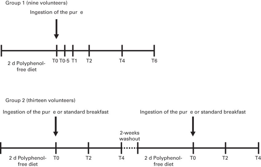 Representation Of The Timeline Of The Intervention - Timeline (850x545), Png Download