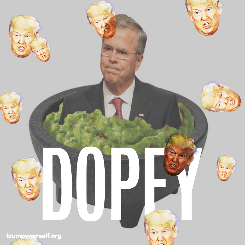 Org Donald Trump Jeb Bush Guacamole Doug Jones Food - Jeb Bush Guac Bowl (800x800), Png Download