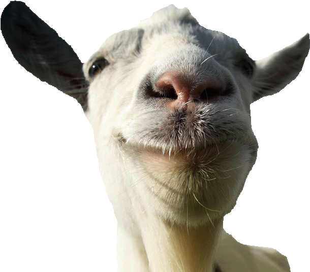 Is It Better Than Goat Simulator (635x540), Png Download