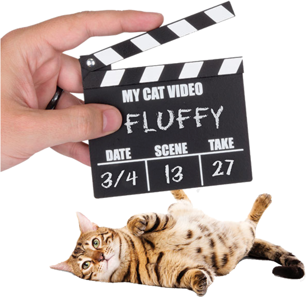 Made Simple For Final Cut Pro On The Mac App Store - Cat Unicorn Good Vs. Evil Unicorn Video Set Including (630x630), Png Download