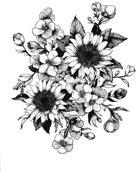 Tattoo Sketch Flower Drawing Sunflower Png Free Photo - Black And White Sunflower Png (500x648), Png Download