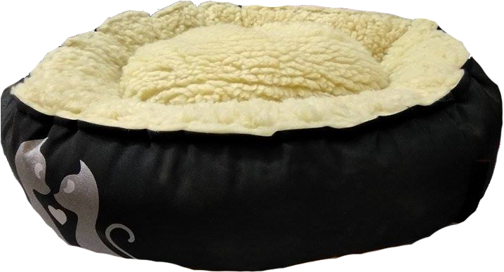 Buy Cat Bed Small Pgpet In Low Price Online At Petindiaonline - Cat (789x426), Png Download