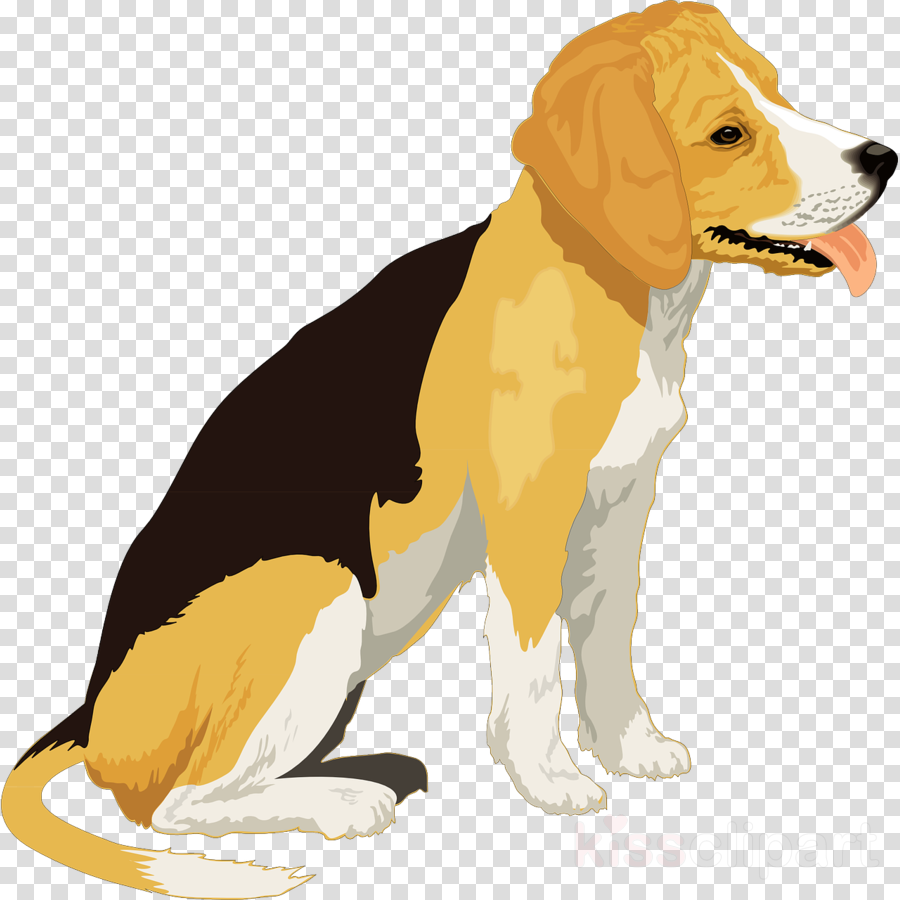 Beagle Wall Calendar Clipart Beagle Pet Clip Art - Beagle Wall Calendar (900x900), Png Download