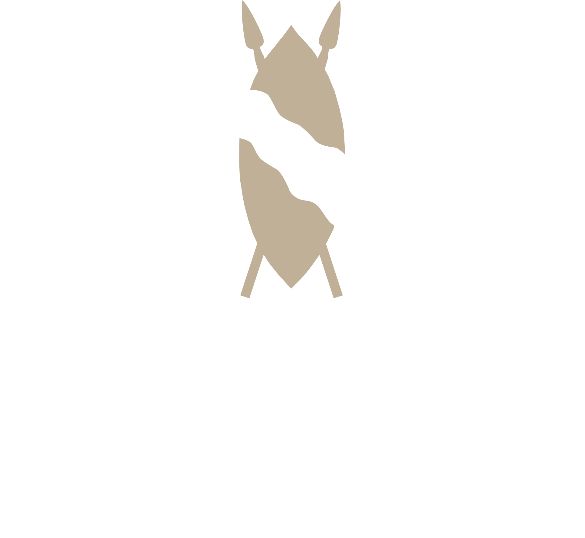 Burro (2480x2217), Png Download