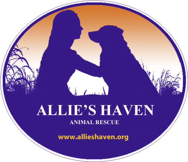 Allie's Haven Animal Rescue - Silhouette (624x538), Png Download