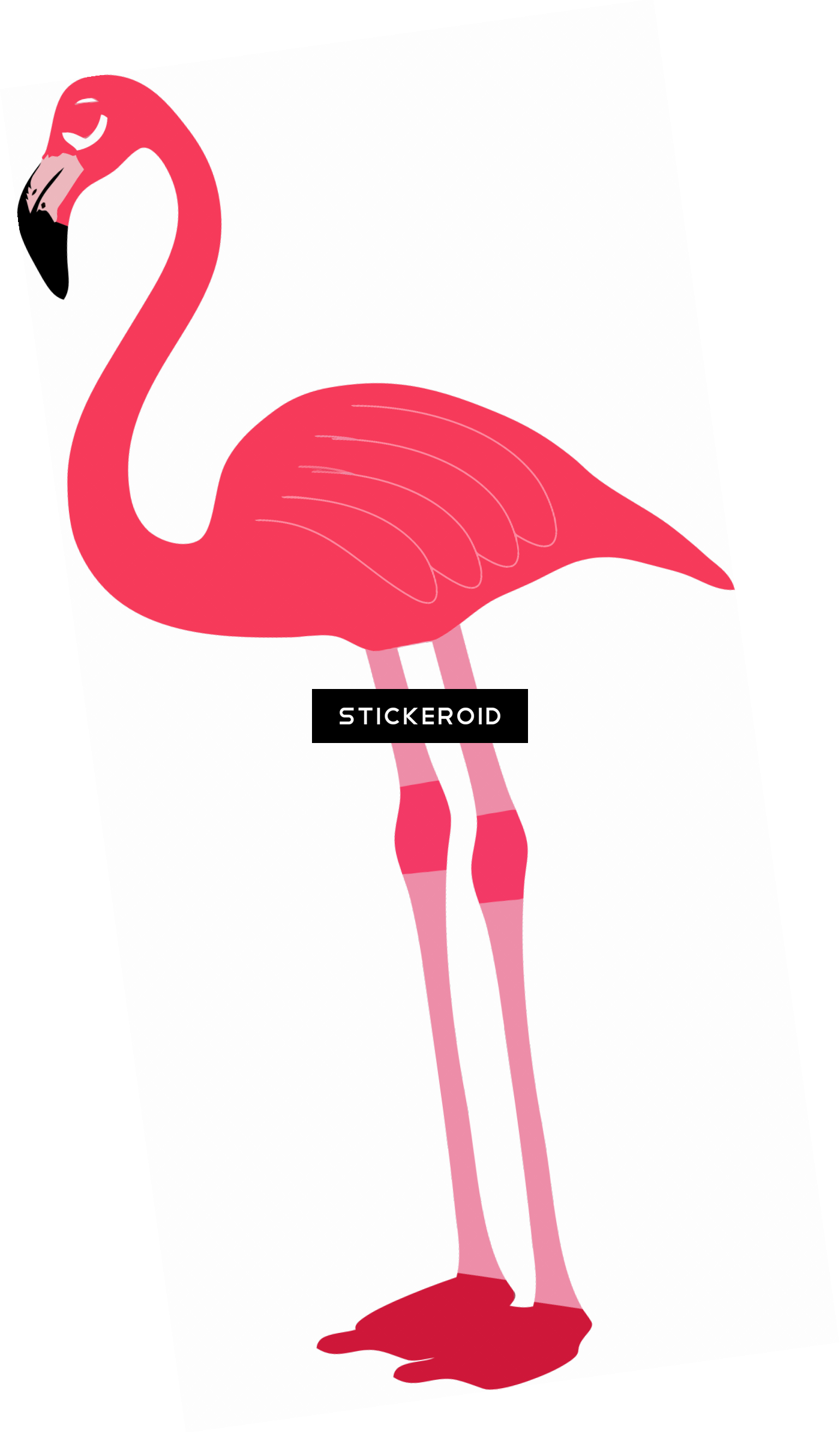 Flamingo - Greater Flamingo (1400x2386), Png Download