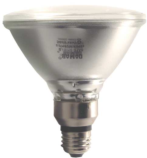 22984c - Safe-shield Incandescent & Halogen Par38 (555x600), Png Download