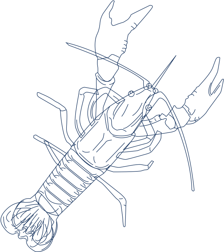 Marine Debris - Line Art (810x878), Png Download