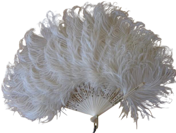 Vintage White Feather Fan - Common Ostrich (616x616), Png Download