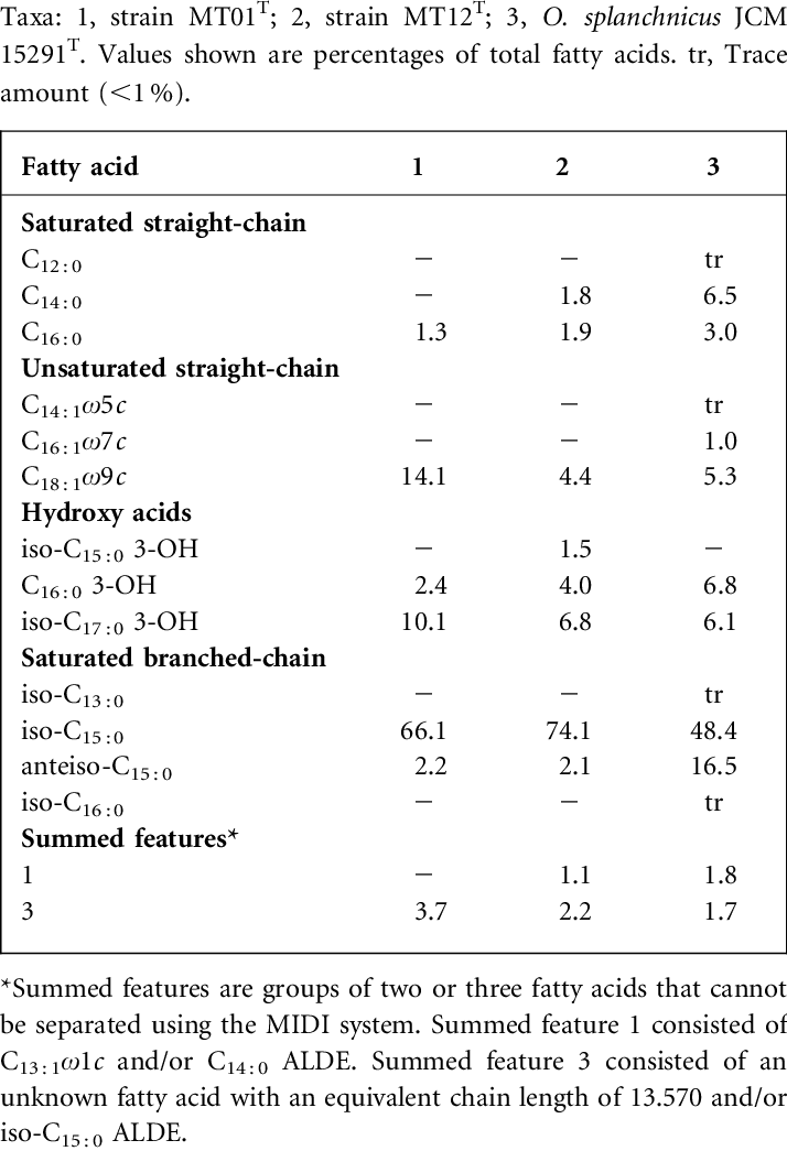 Cellular Fatty Acid Compositions Of Strain Mt01 T , - Central Nervous System (714x1045), Png Download