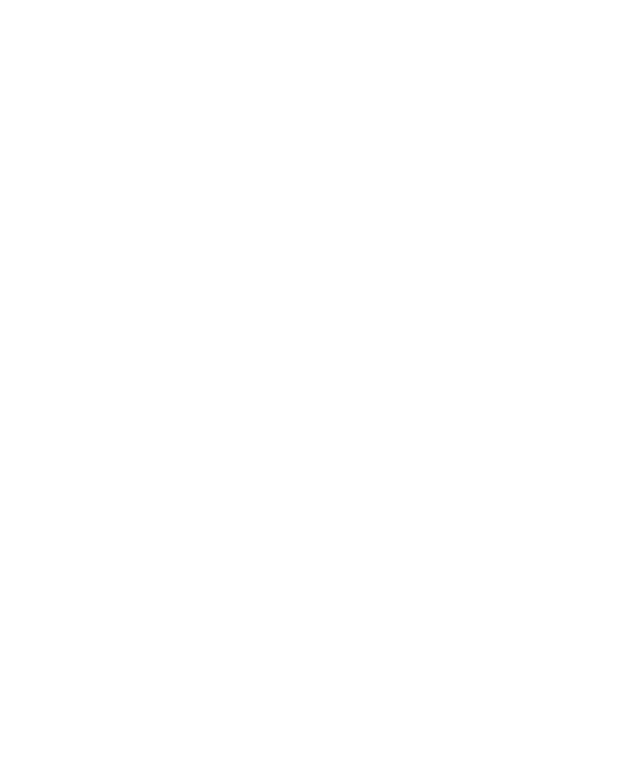 Jenni Summer Studios Jenni Summer Studios - King Unique 2000000 Suns Feniksas (800x800), Png Download