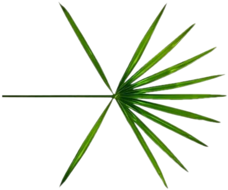 Exo Kokobop Logo Png - Exo The War Logo Png (597x586), Png Download