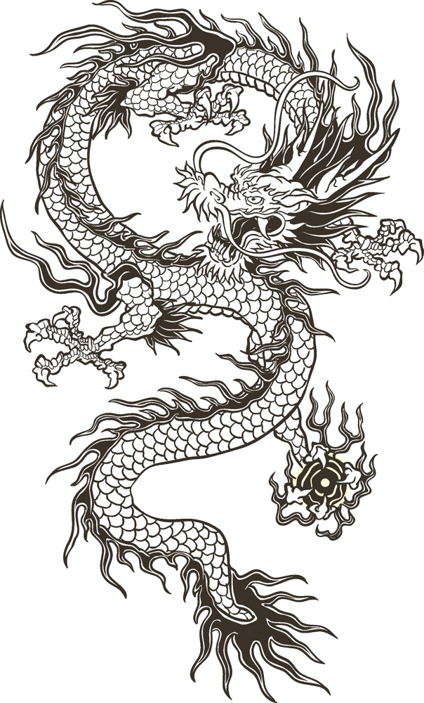 Chinese Illustration Transprent Png - Chinese Dragon Black And White (604x1000), Png Download