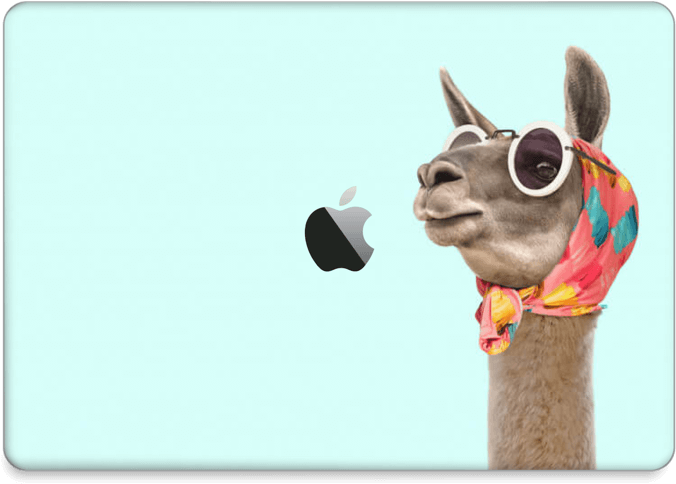 Fashion Llama - Fancy Llama (800x562), Png Download
