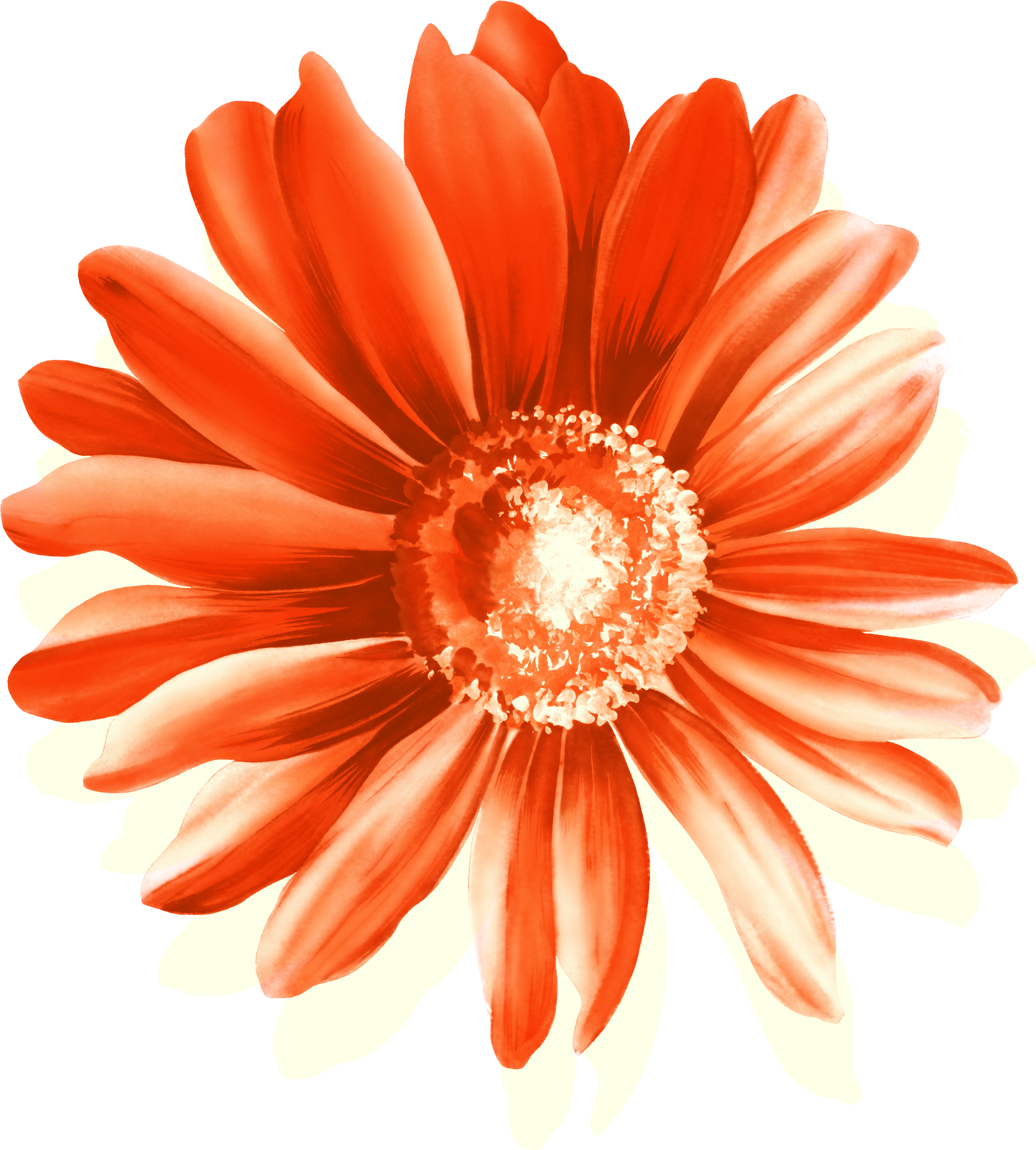 Clipart Free Download Cottage Garden Flowers Red - La Casa De Las Flores Png (3850x3238), Png Download