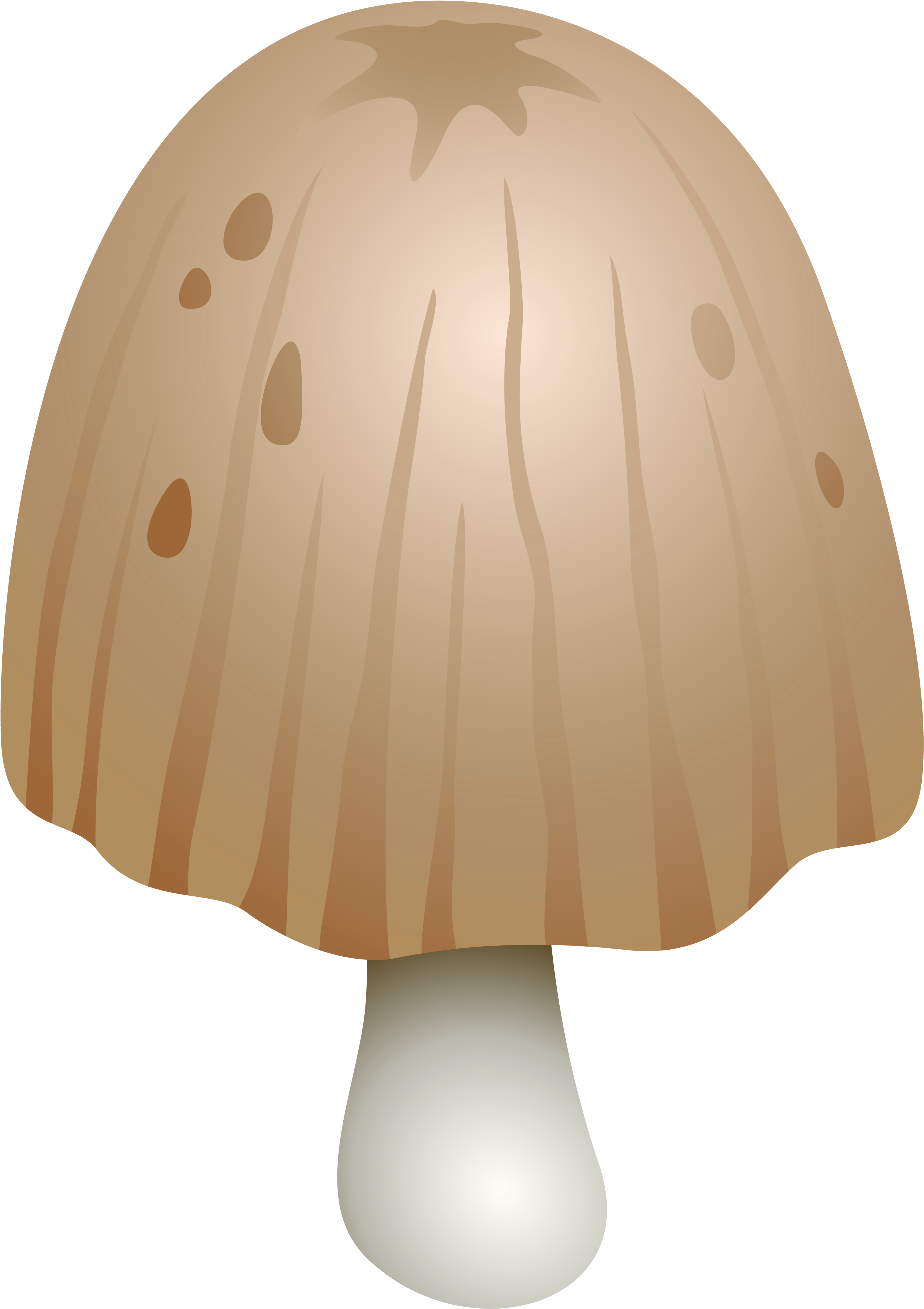Coprinus Comatus Mushroom Png Clipart - Shiitake (4494x6197), Png Download