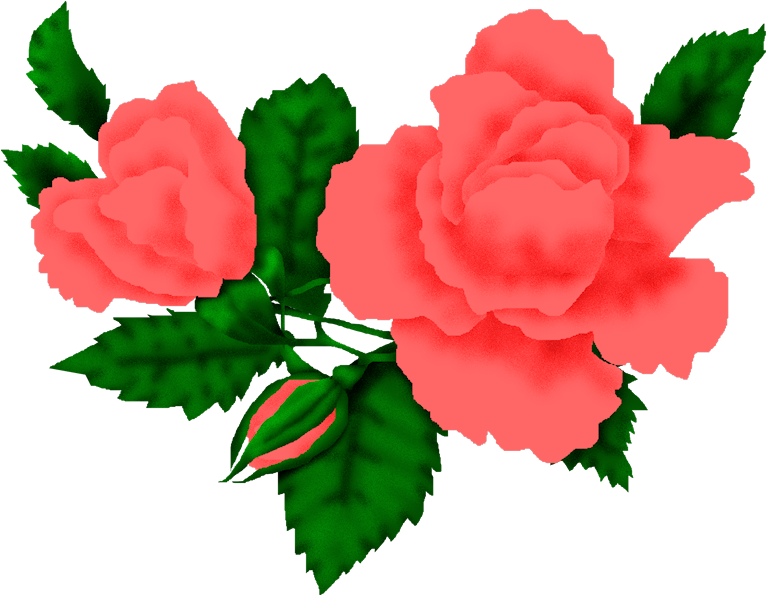 Imágenes De Flores - Gif (777x647), Png Download