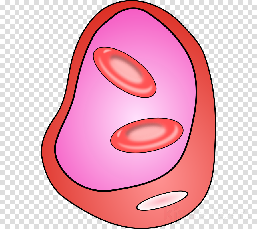 Cell Clipart Cell Clip Art - Minus Sign No Background (900x800), Png Download