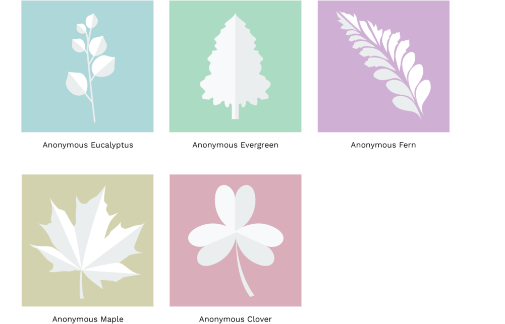 Google Docs Photos-01 - African Daisy (1000x703), Png Download