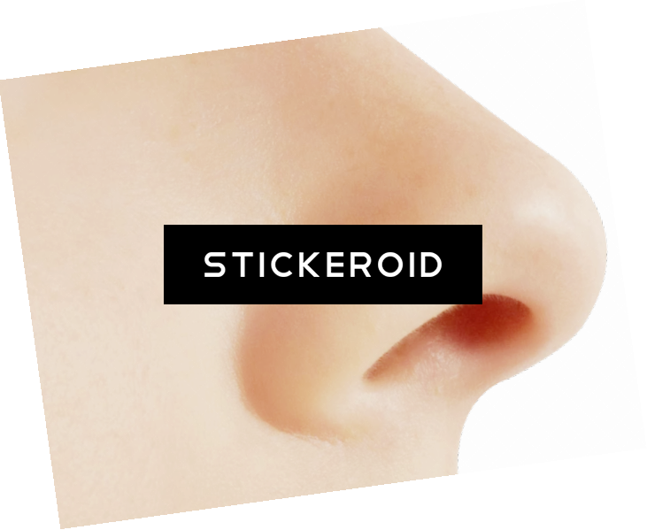 Human Nose - Girl (731x599), Png Download