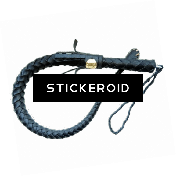 Плётка Bdsm Whip Бдсм - Duke Nukem Forever Box Art (577x578), Png Download