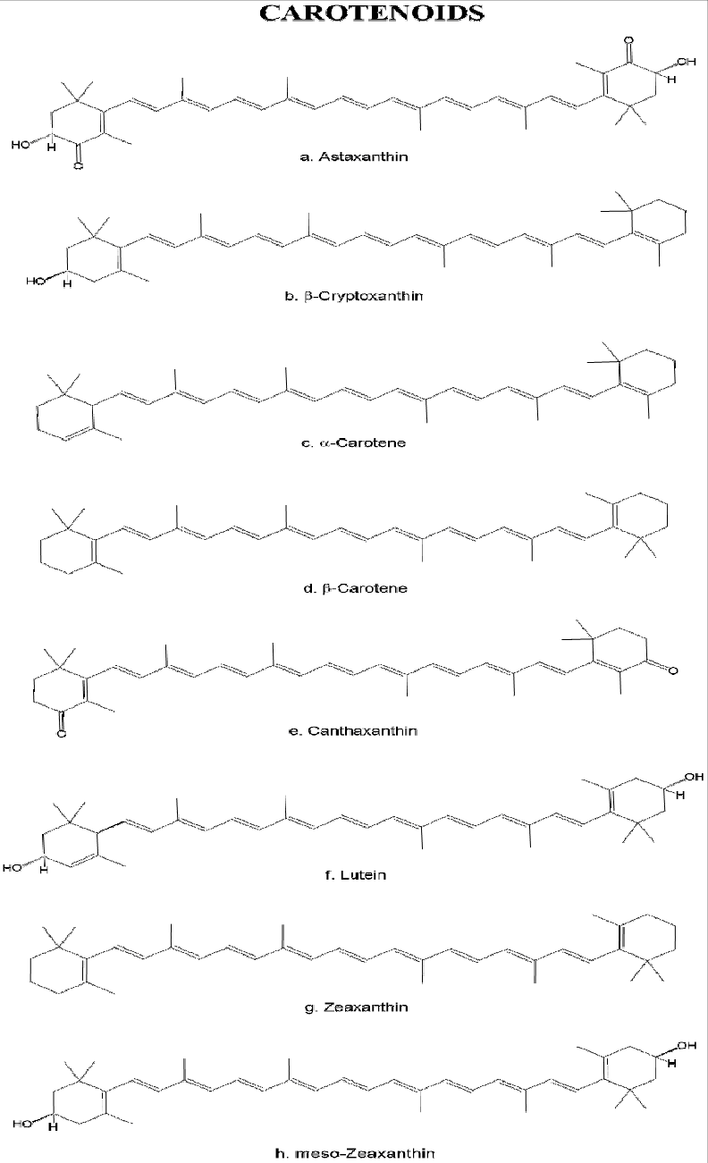 Chemical Structure Of The Main Carotenoids Found In - Handwriting (792x1301), Png Download