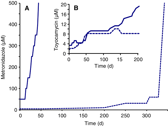 In Vitro Development Of Metronidazole And Toyocamycin - Trichomonas Vaginalis (715x536), Png Download