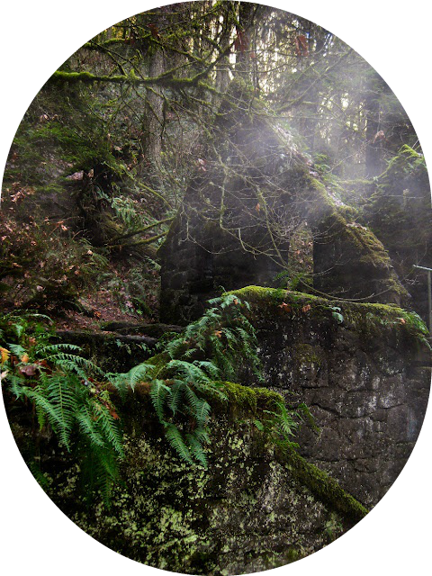 Ruins Covered In Moss - Portland (480x640), Png Download