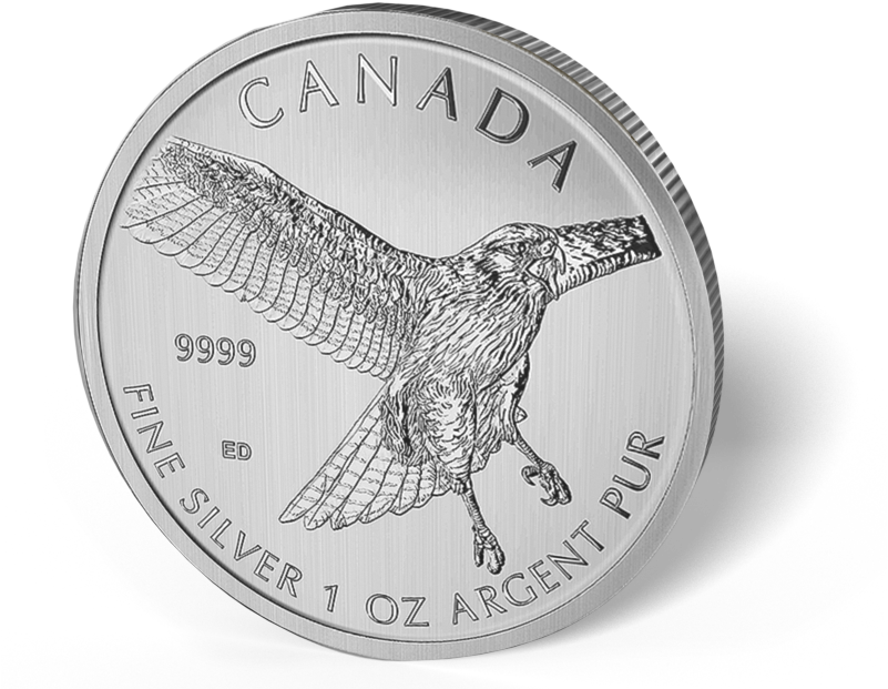 Picture Of 2015 1 Oz Canadian Silver Maple Leaf Red-tail - 2015 Red Tailed Hawk - Uncirculated By Collectors Alliance (800x650), Png Download