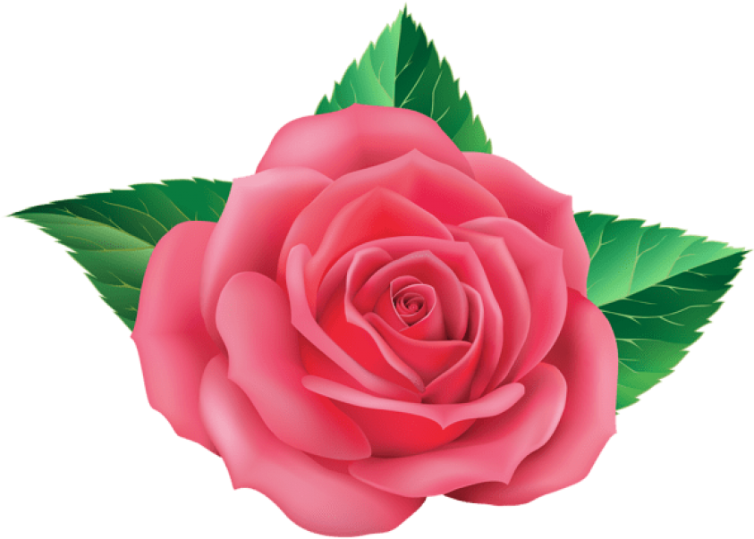 Free Png Rose Png Images Transparent - Rosas Celestes Png (850x605), Png Download