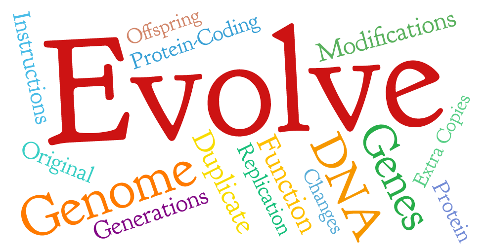 The Human Genome Contains More Than 20,000 Protein-coding - Nih (985x507), Png Download