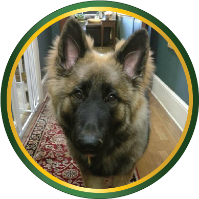 The Sign Up Is Located At The Bottom Of This Page You - Zone (388x411), Png Download