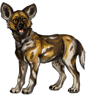 Item African Wild Dog Pup - Lycaon Pictus (347x385), Png Download