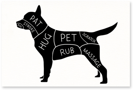 Dog Petting Guide Postcard - German Shepherd Dog (600x496), Png Download