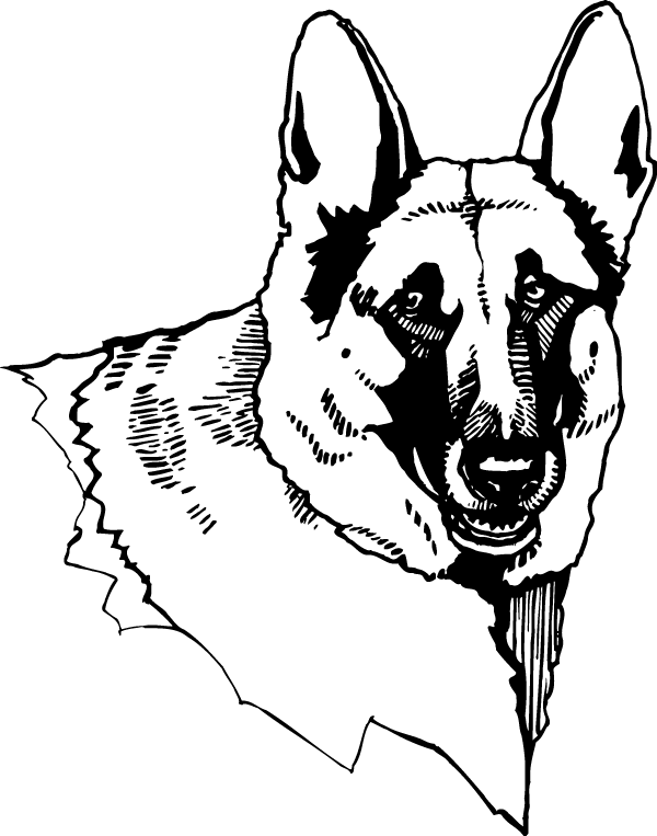 Free Coloring Sheet German Shepherd (600x763), Png Download