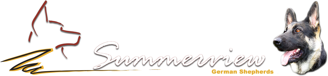 Summerview German Shepherds - Calligraphy (1064x250), Png Download