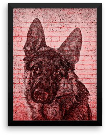 German Shepherd On Wall Framed Poster - Giant Schnauzer (600x600), Png Download