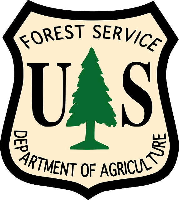 Service, Usa, Logo, Forest - Us Forest Service Png (572x640), Png Download