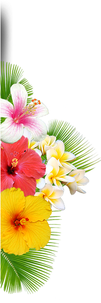 Flower Right - Welcome Flower Bouquet Png (223x611), Png Download