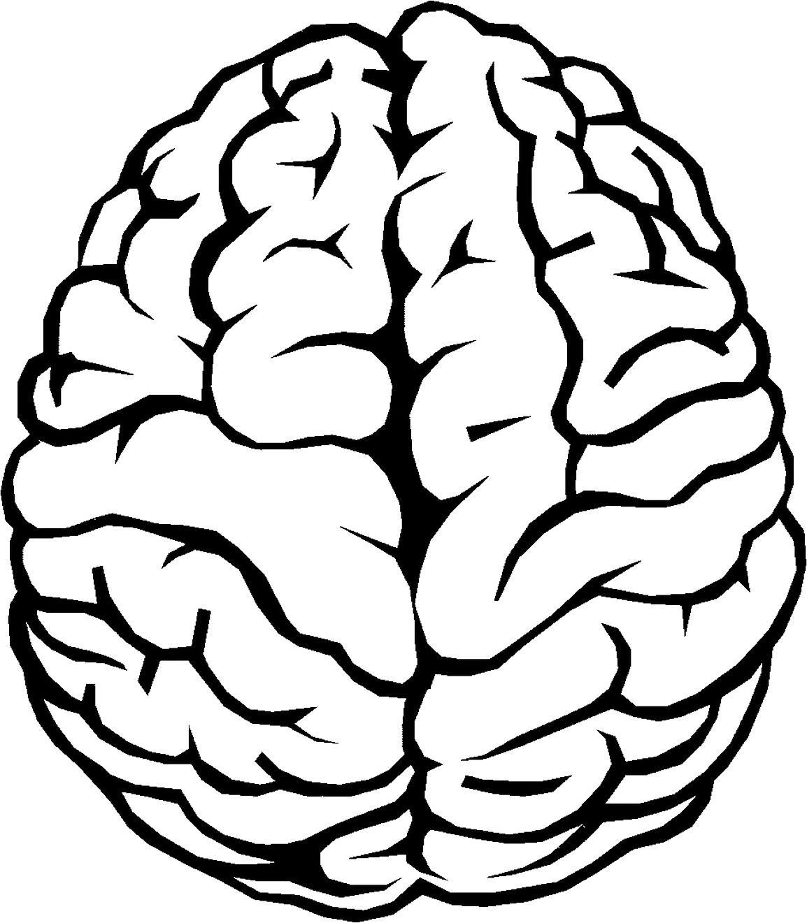 Brain Outline Png Image - Brain Clipart (1154x1321), Png Download