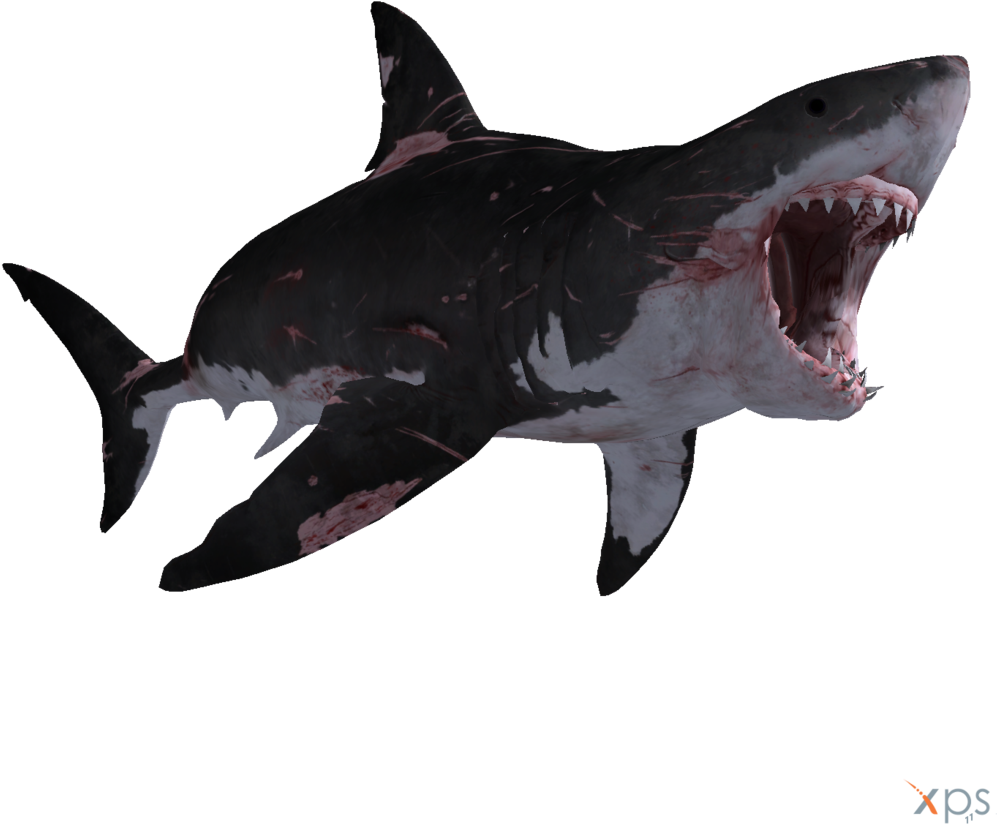 Shark Vector Png - Great White Shark Png (1024x1024), Png Download
