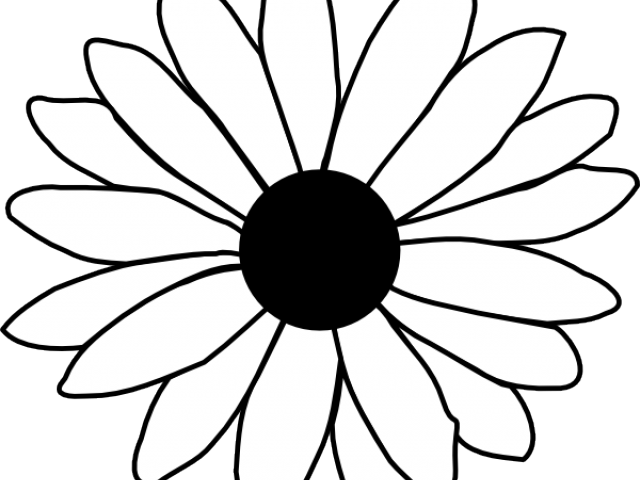 Daisy Flower Outline - Single Flower Coloring Flower (640x480), Png Download