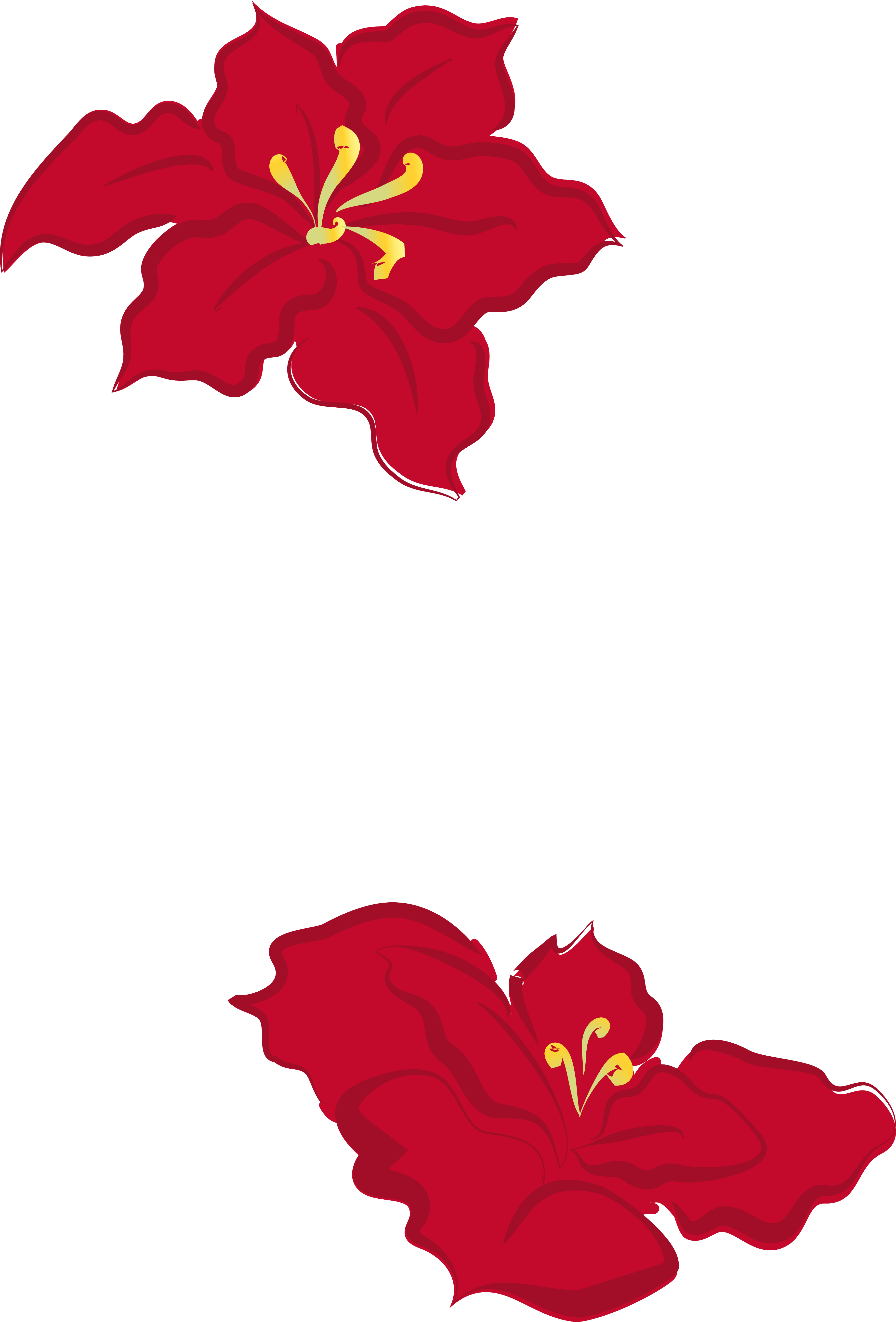 Flower Images 2018 » Poinsettia Flower Outline - Poinsettia (3652x5390), Png Download