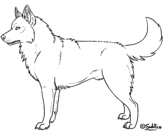 Husky Body Outline - Siberian Husky Color Sheets (631x480), Png Download