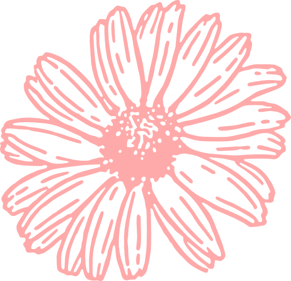 Daisy Clipart Daisy Outline - Gerbera Daisy Png Clipart (600x579), Png Download