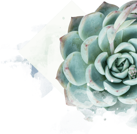 The Newest Flower Hand Bringmethehorizon Songs Lyrics - Succulent No Background (480x480), Png Download